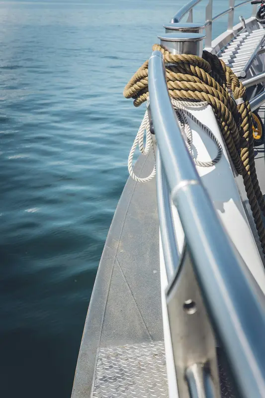 South.Boats Premium Domain